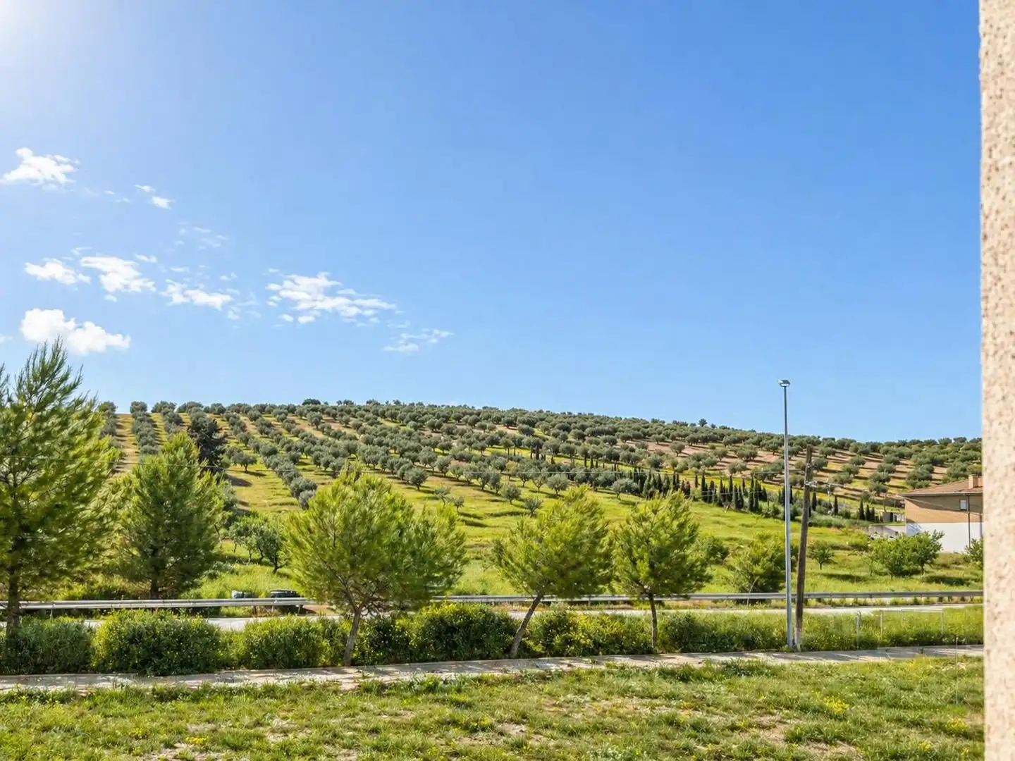 Finca rústica en venta en Píñar con Terraza