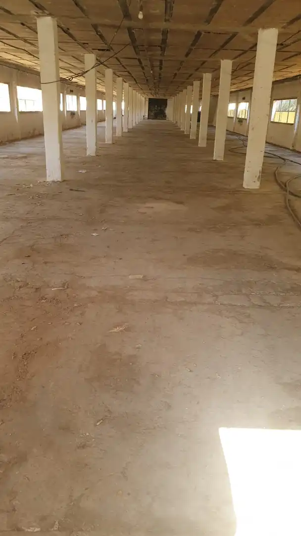 Industrial building to rent in Arriate, imagen 3
