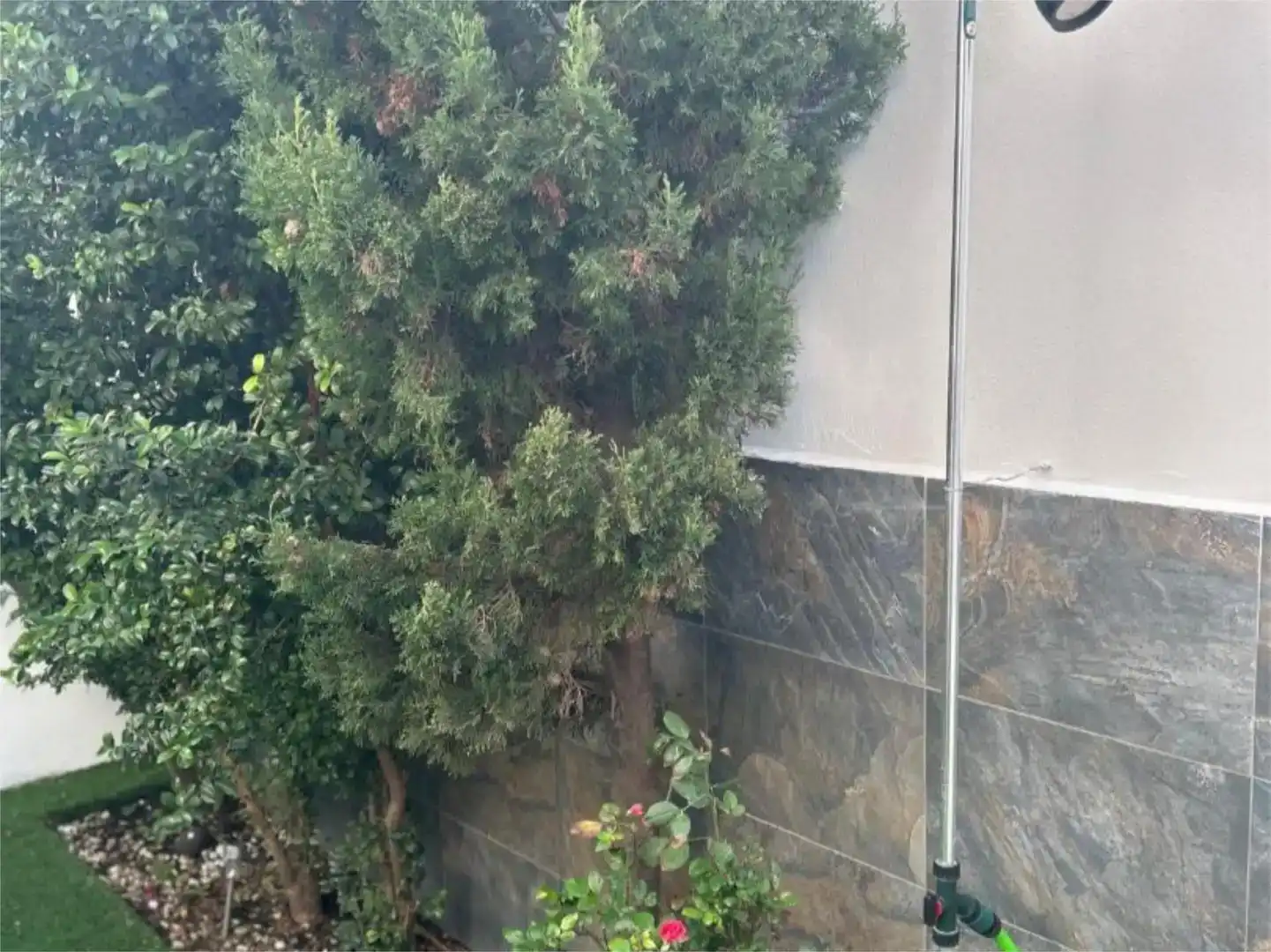 Terraza de Estudio de alquiler en Tarifa con Aire acondicionado, Jardín privado y Amueblado