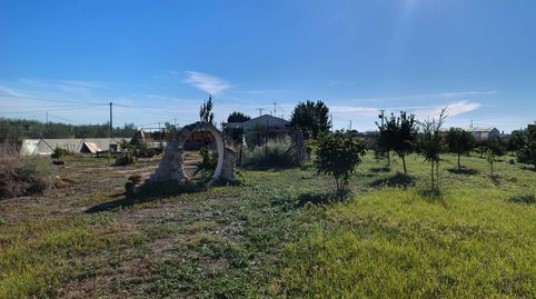 Foto 4 de Finca rústica en venta en Calle Doctor Ramón y Cajal, Cox, Alicante
