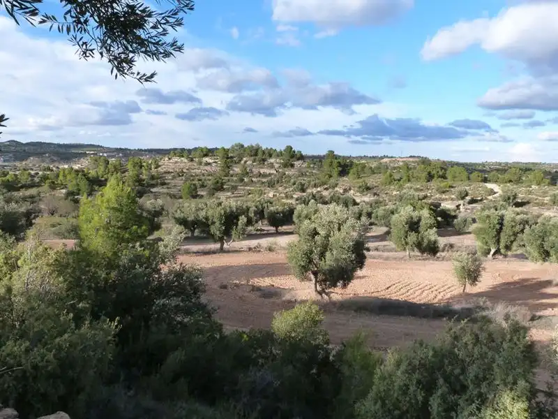 Finca rústica en venta en Valjunquera