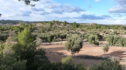 Foto 2 de Finca rústica en venta en Valjunquera, Teruel