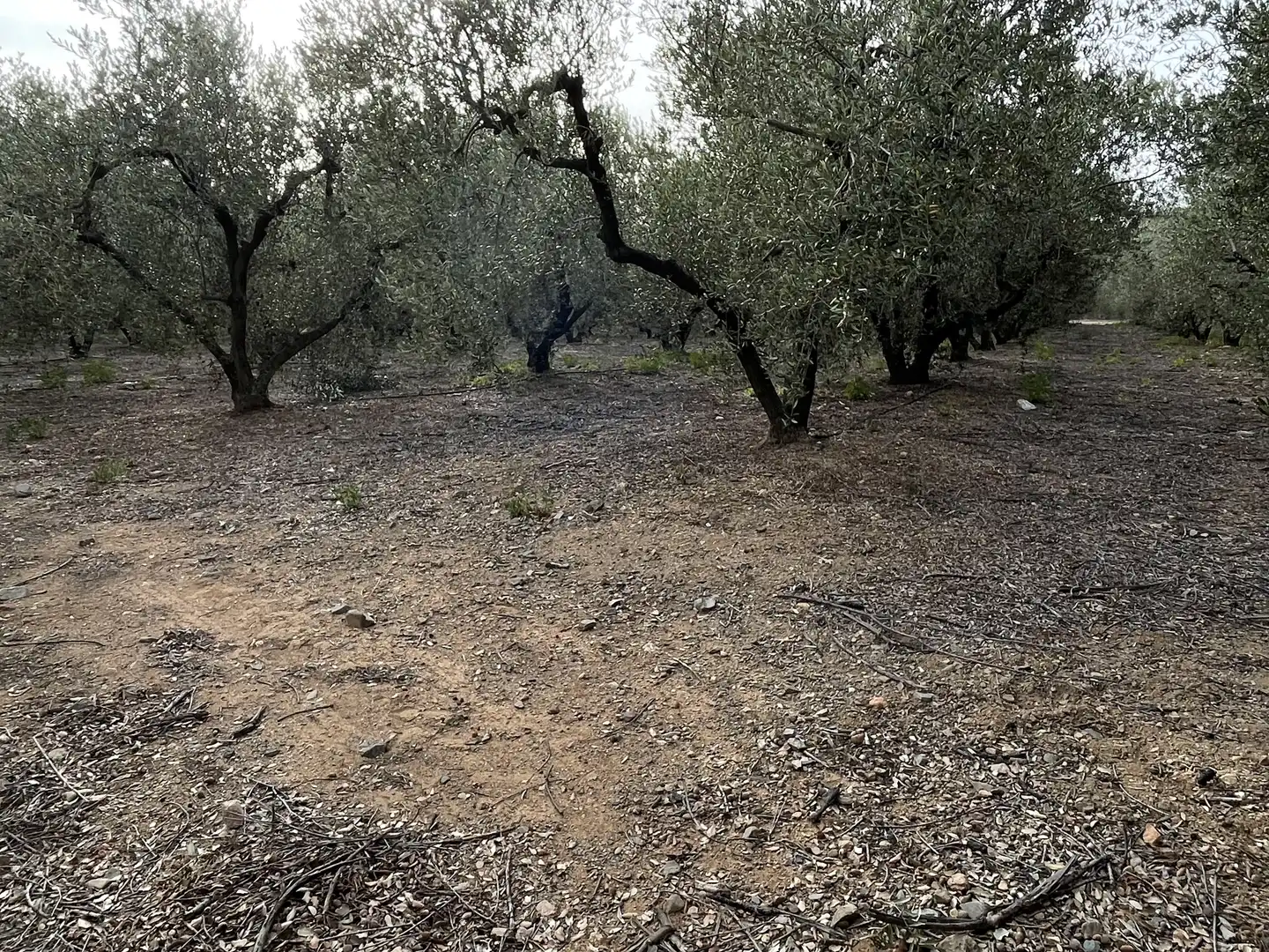 Land for sale in Cambrils