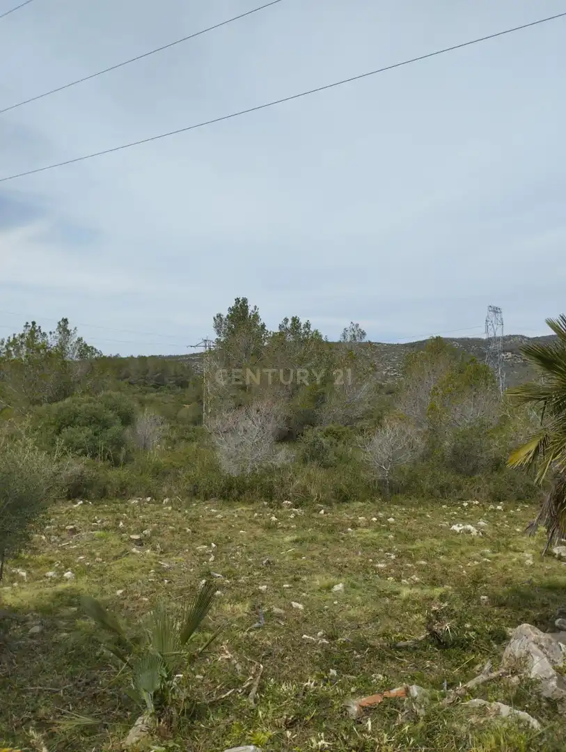 Terreny rústic en venda a poligono 3, imagen 3