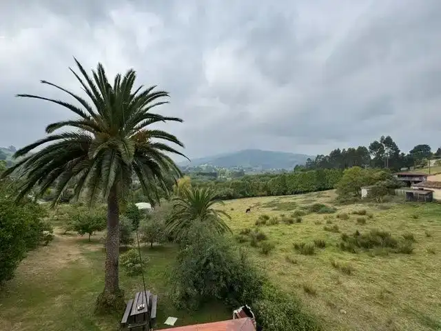 Jardí de Casa o xalet en venda en Villaviciosa amb Balcó