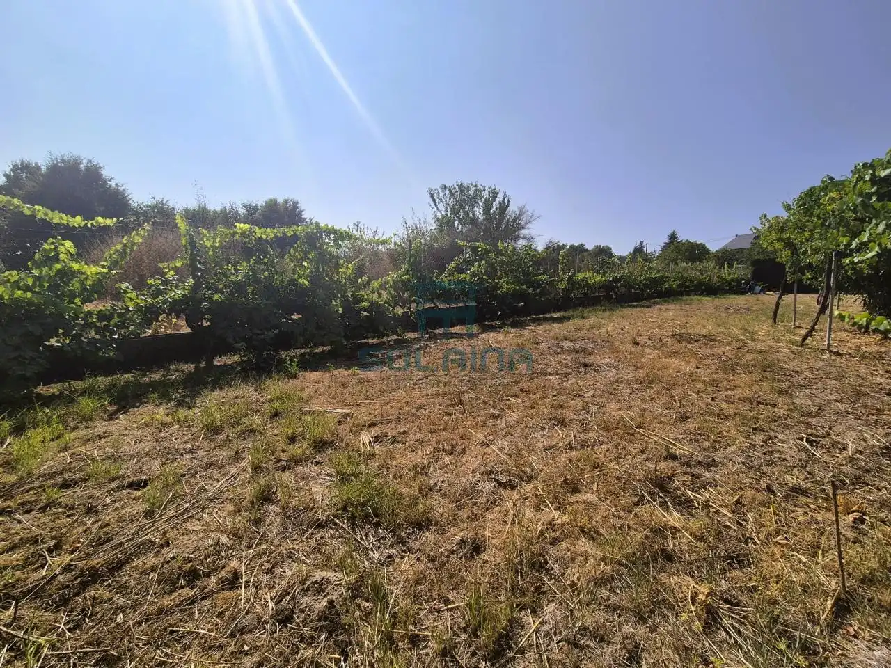 Casa o xalet en venda en Coles amb Calefacció, Jardí privat i Moblat