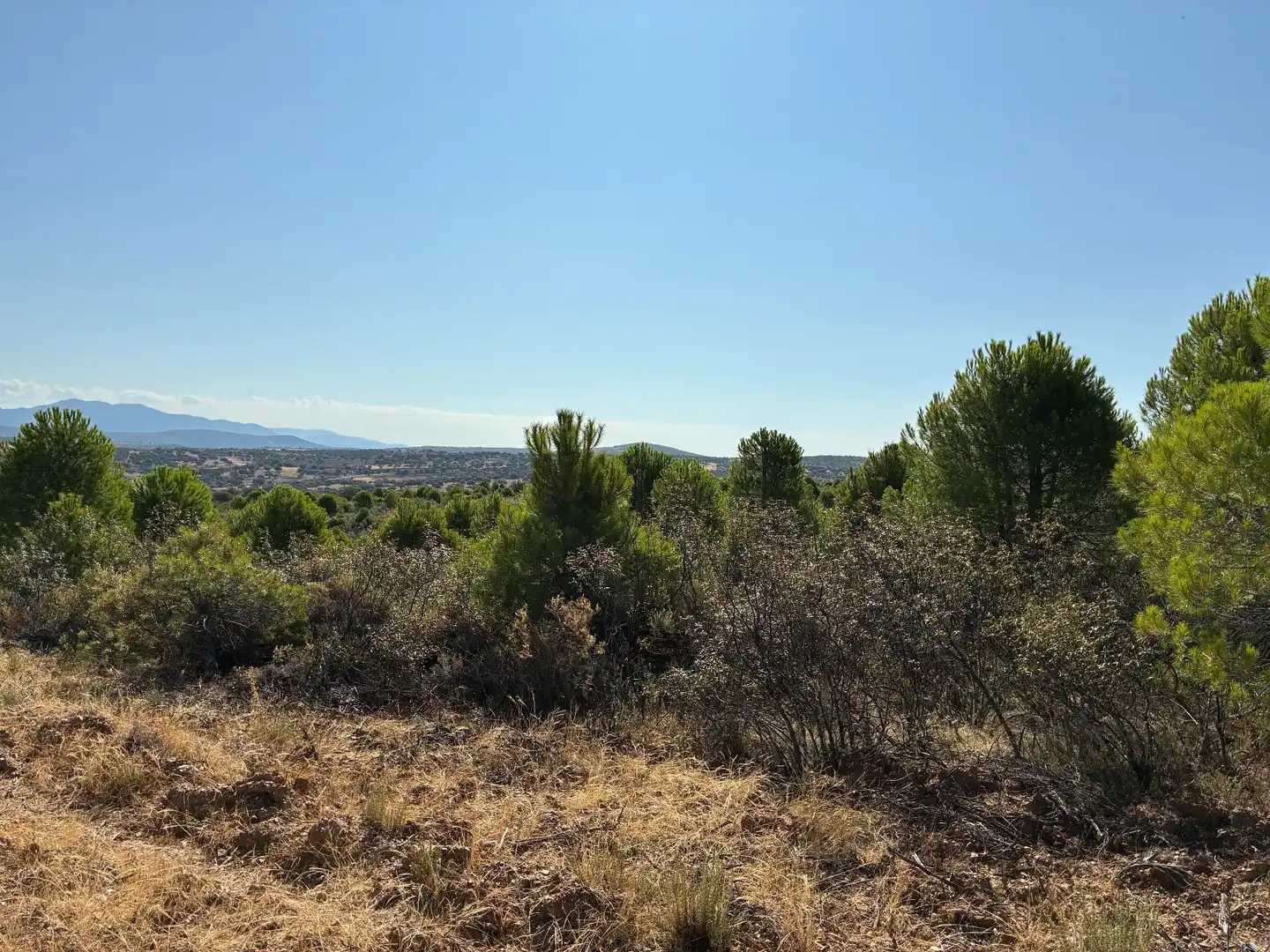Rural land for sale in Puerto de San Vicente, imagen 10
