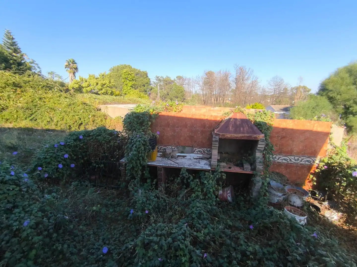Casa rustica con giardino in vendita a Gibraleón, imagen 22