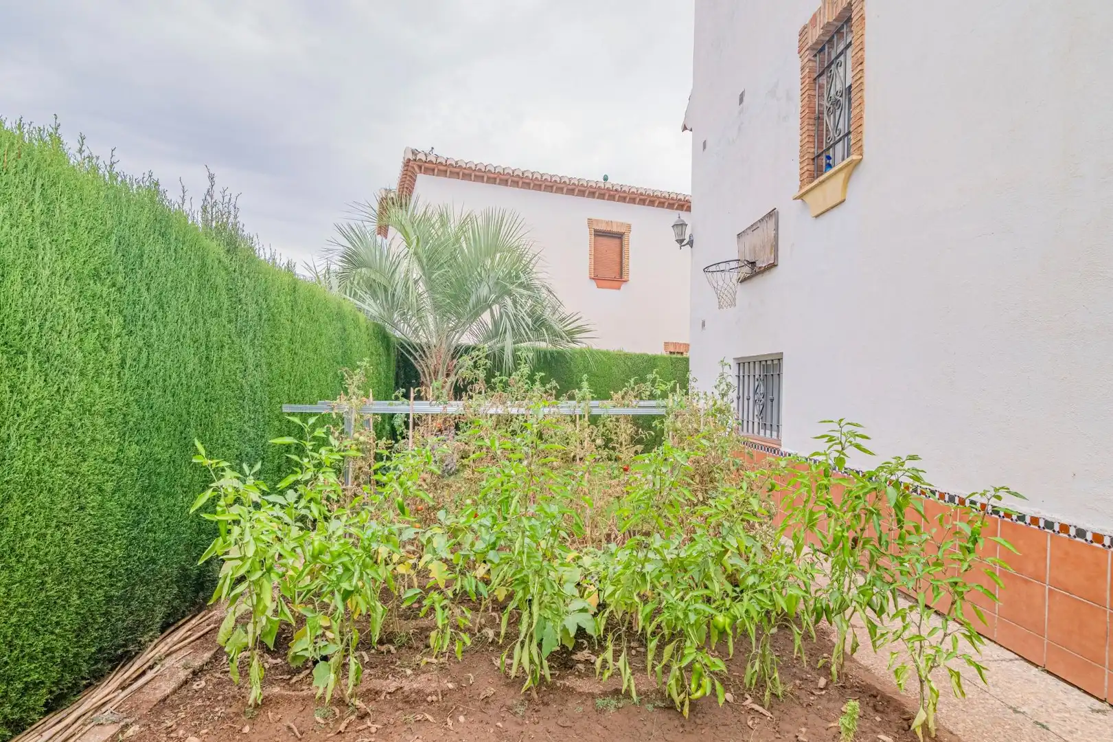 Jardín de Casa adosada en venta en La Zubia Ciudad