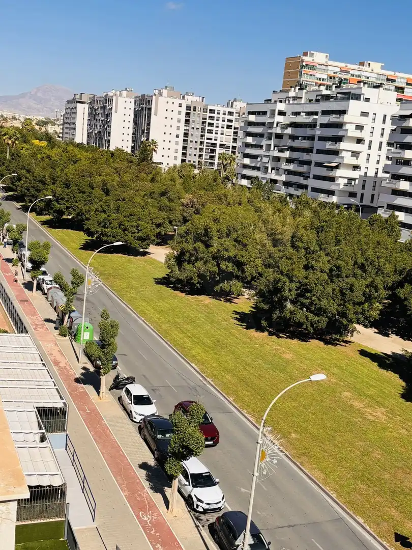 Flat for rent in Alicante / Alacant, Alicante
