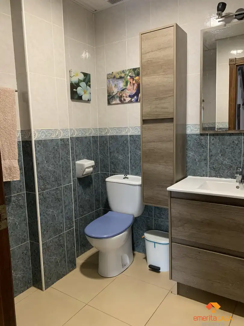 Bathroom of Duplexes for sale in Almendralejo