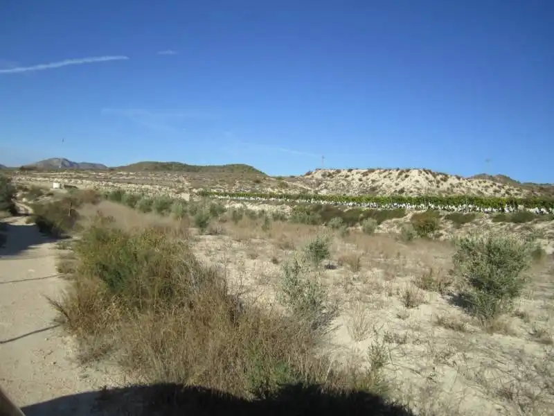 Terreny rústic en venda a La Romana, imagen 2