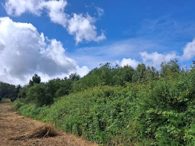 Terreno en Venta en Vereda del Medio, 7W en Campo de Golf - Agua García - Juan Fernández