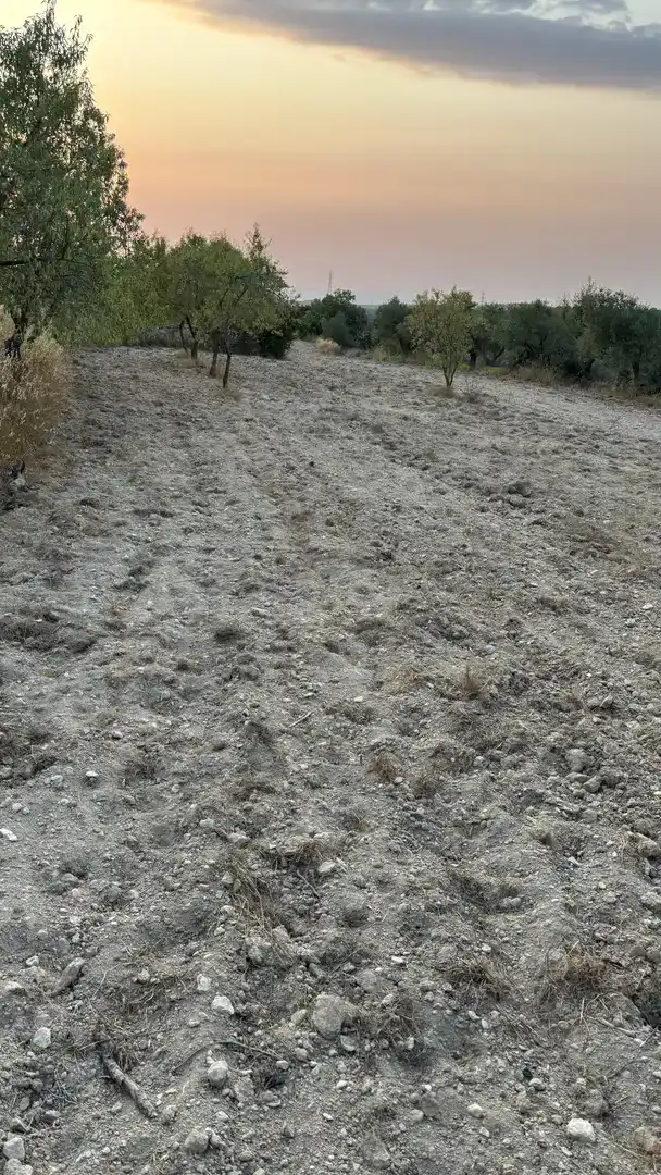 Finca rústica en venda en La Fatarella amb Jardí privat