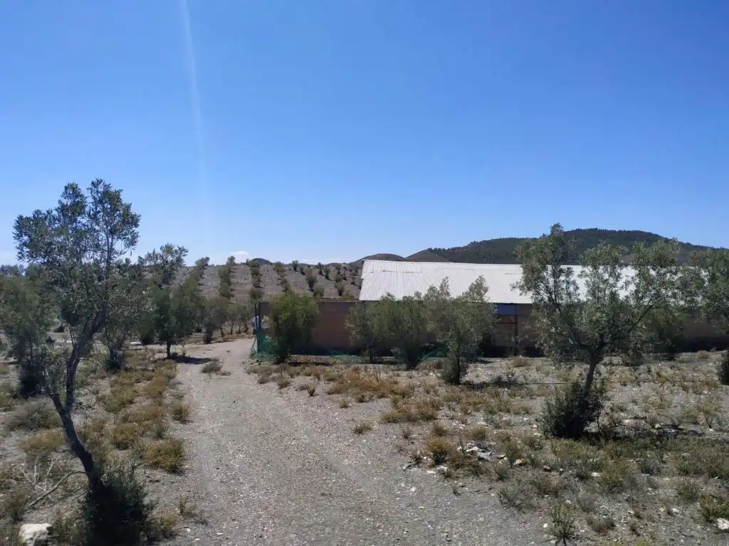 Terreno rústico en venta en RAMBLA TABERNAS, imagen 3