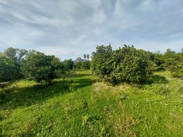 Rural land for sale in Camí Pont de Montaner