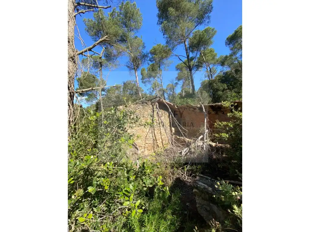 Land for sale in Pals