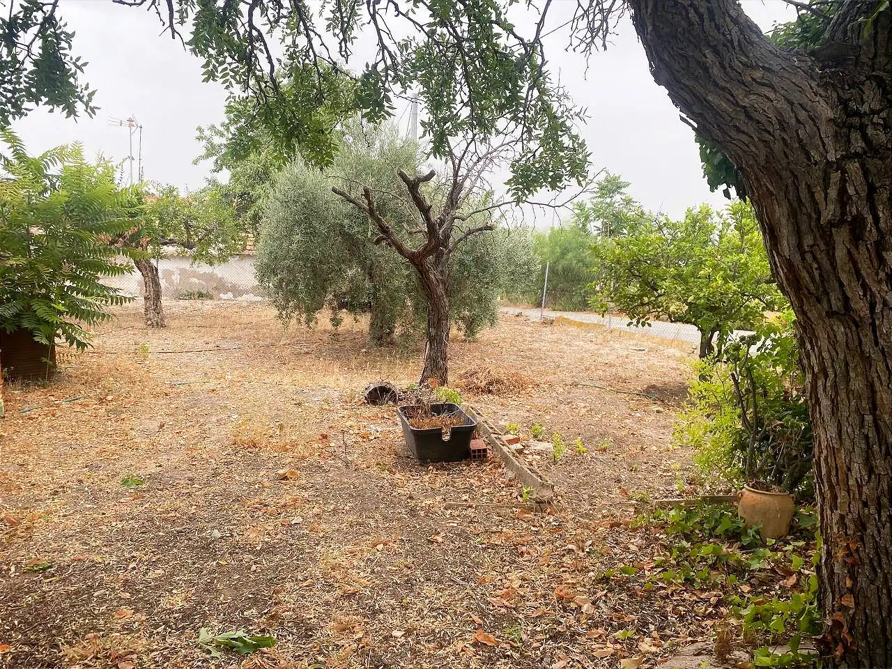 Casa rustica con giardino in vendita a La Romana, imagen 22