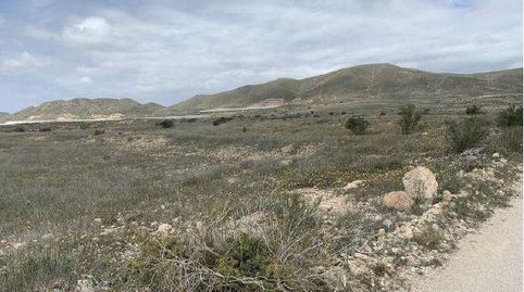 Foto 5 de Terreno en venta en 185, Los Gimenez, Pozo de los Frailes - Presillas - Albaricoques, Níjar