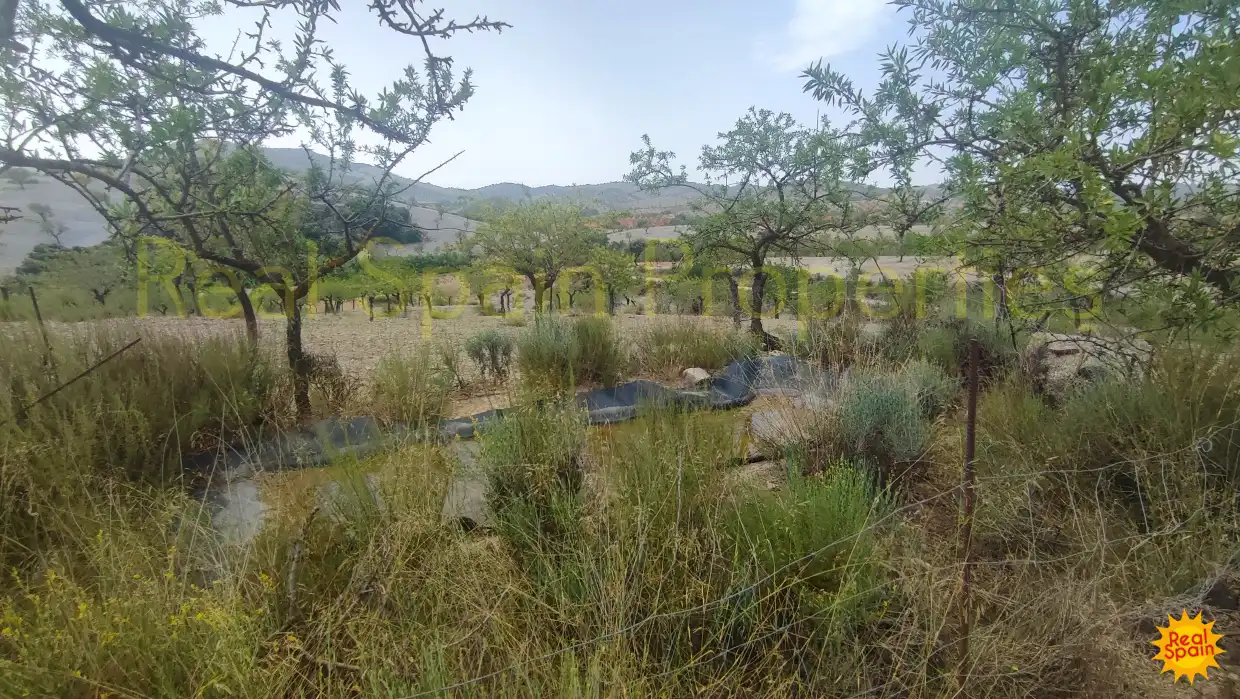 Residential land for sale in Vélez-Rubio, imagen 18