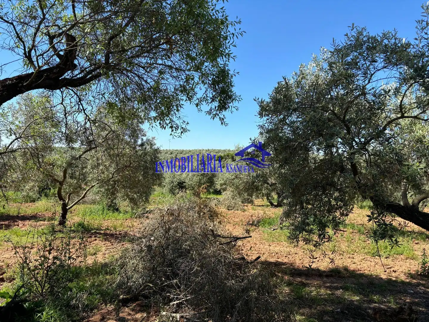 Casa rústica en venta en Montoro, imagen 34