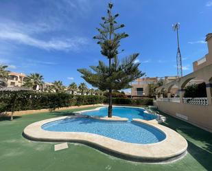 Swimming pool of Single-family semi-detached for sale in Guardamar del Segura  with Air Conditioner, Private garden and Terrace