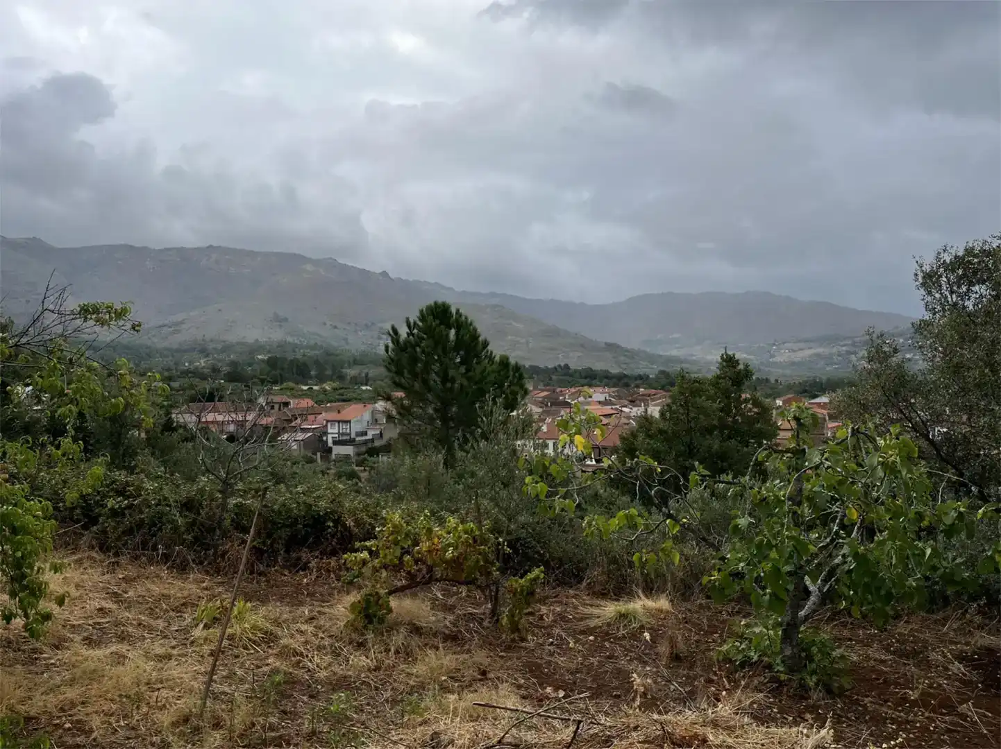 Terreno en venta en Valverde del Fresno
