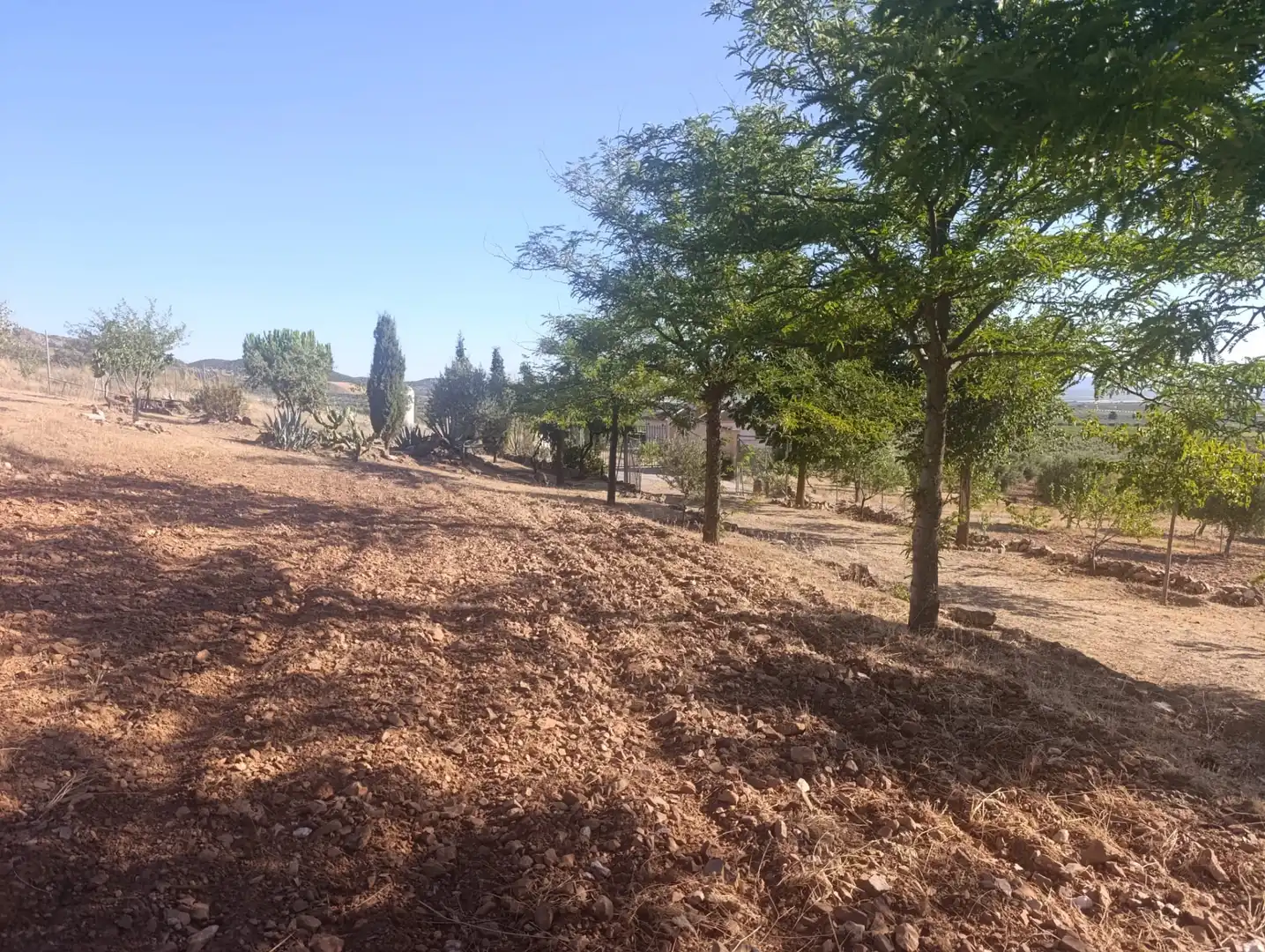 Finca rústica en venta en Mora con Amueblado