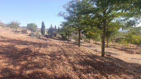 Foto 5 de Finca rústica en venta en N/a, Mora, Toledo