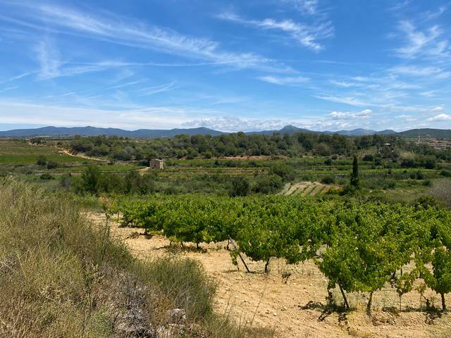 Terreno en Venta en N/A, -1 en Nulles