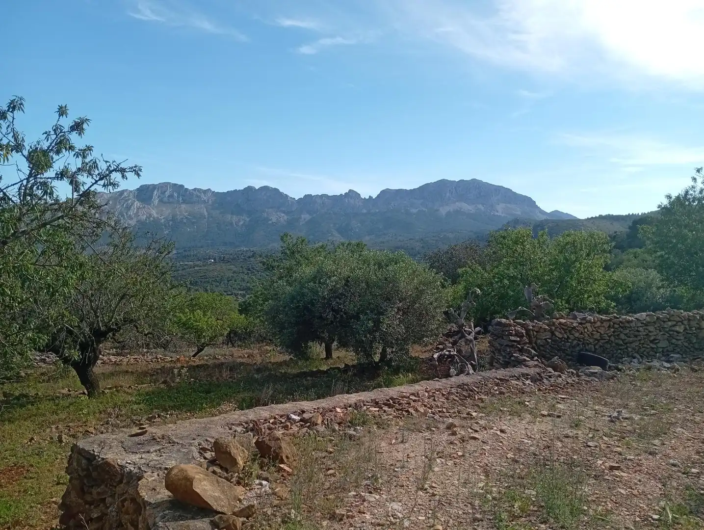 House for sale in Llíber, imagen 23