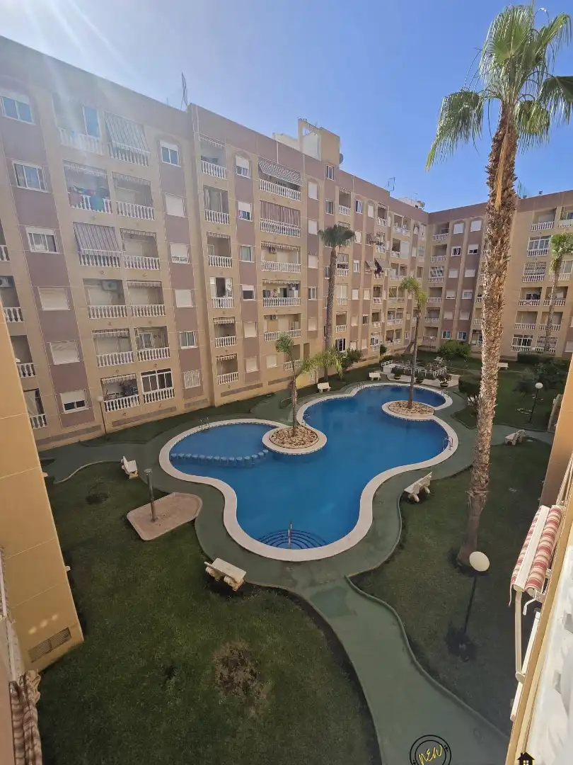 Piscina de Estudi en venda en Torrevieja amb Moblat, Rentadora i Balcó