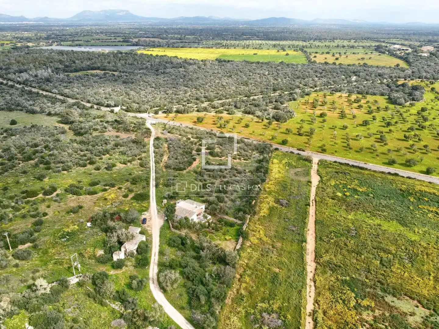 Casa rústica con jardín en venta en Llucmajor pueblo, imagen 2