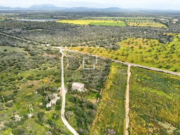 Casa rustica con giardino in vendita a Llucmajor pueblo