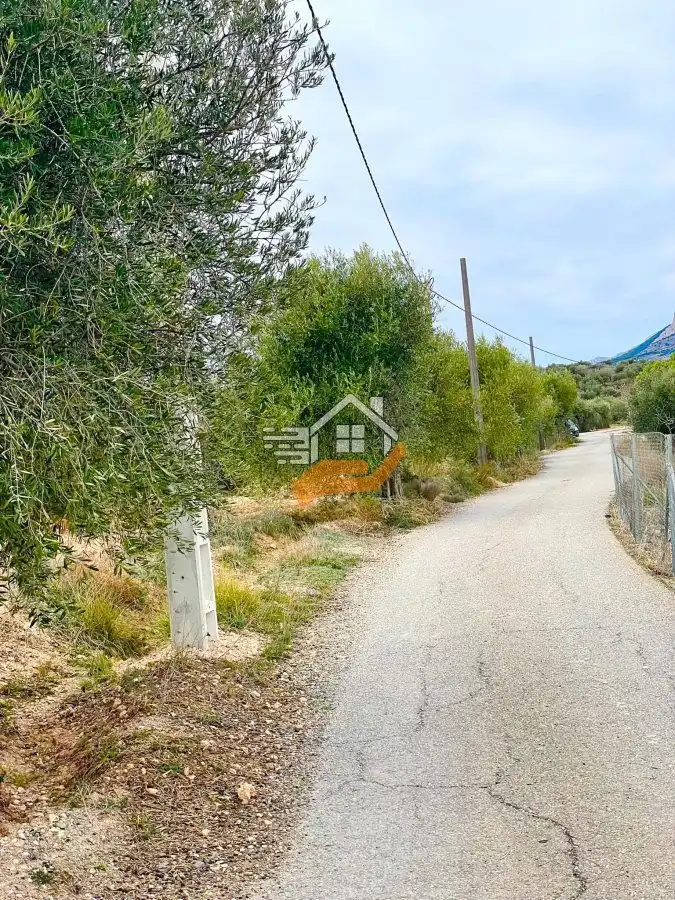 Residential land for sale in Vélez-Rubio, imagen 6