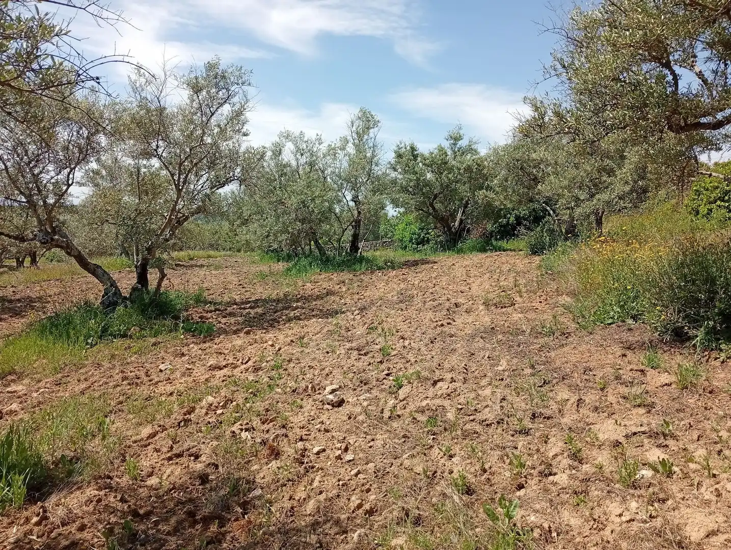 Terreni e lotti in vendita a Villanueva de la Vera, imagen 12