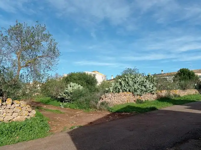 Terreny rústic en venda a Ses Salines Poble