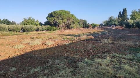 Foto 4 de Residencial en venda a Pedanías de Badajoz, Badajoz