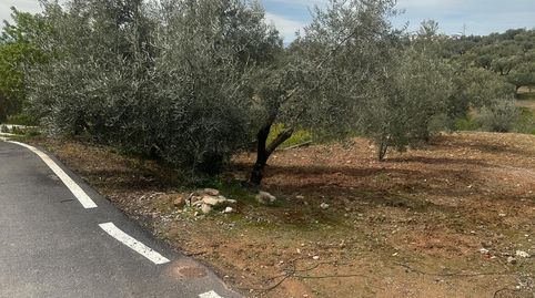 VENTA FINCA URBANIZABLE PULIANAS, imatge 2
