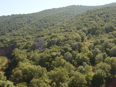 Casa rústica en venda a Poligono 26 Paraje 578 Higuera De Cortes