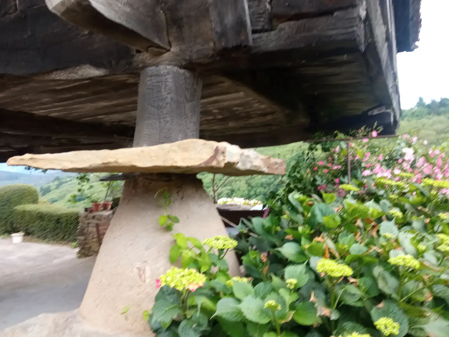 Jardín de Finca rústica en venta en Tineo con Jardín privado, Parquet y Terraza