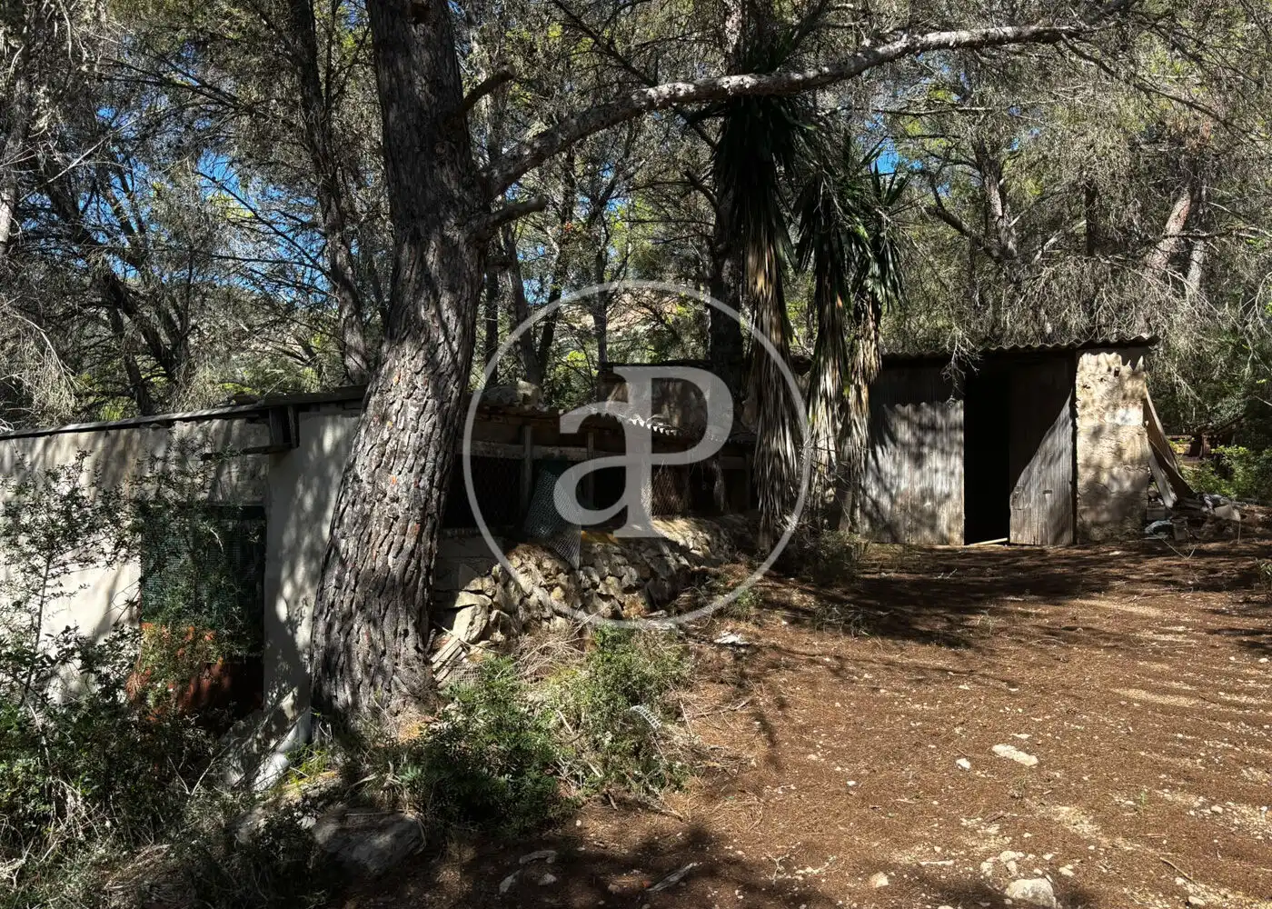Wohnbaugrundstück zum Verkauf in Llucmajor pueblo, imagen 24