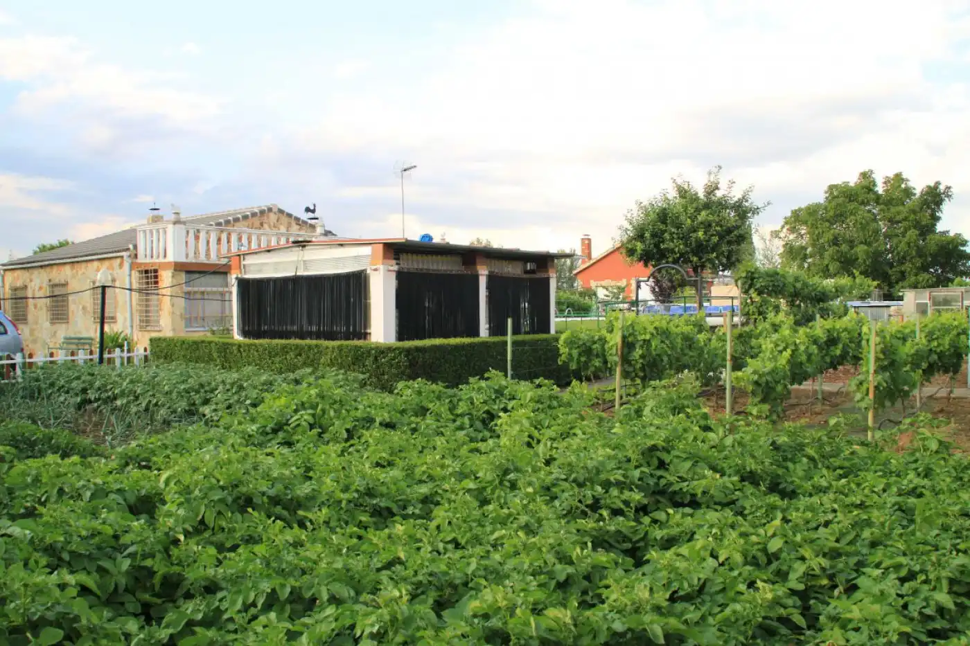 Jardín de Finca rústica en venta en Grijota con Terraza