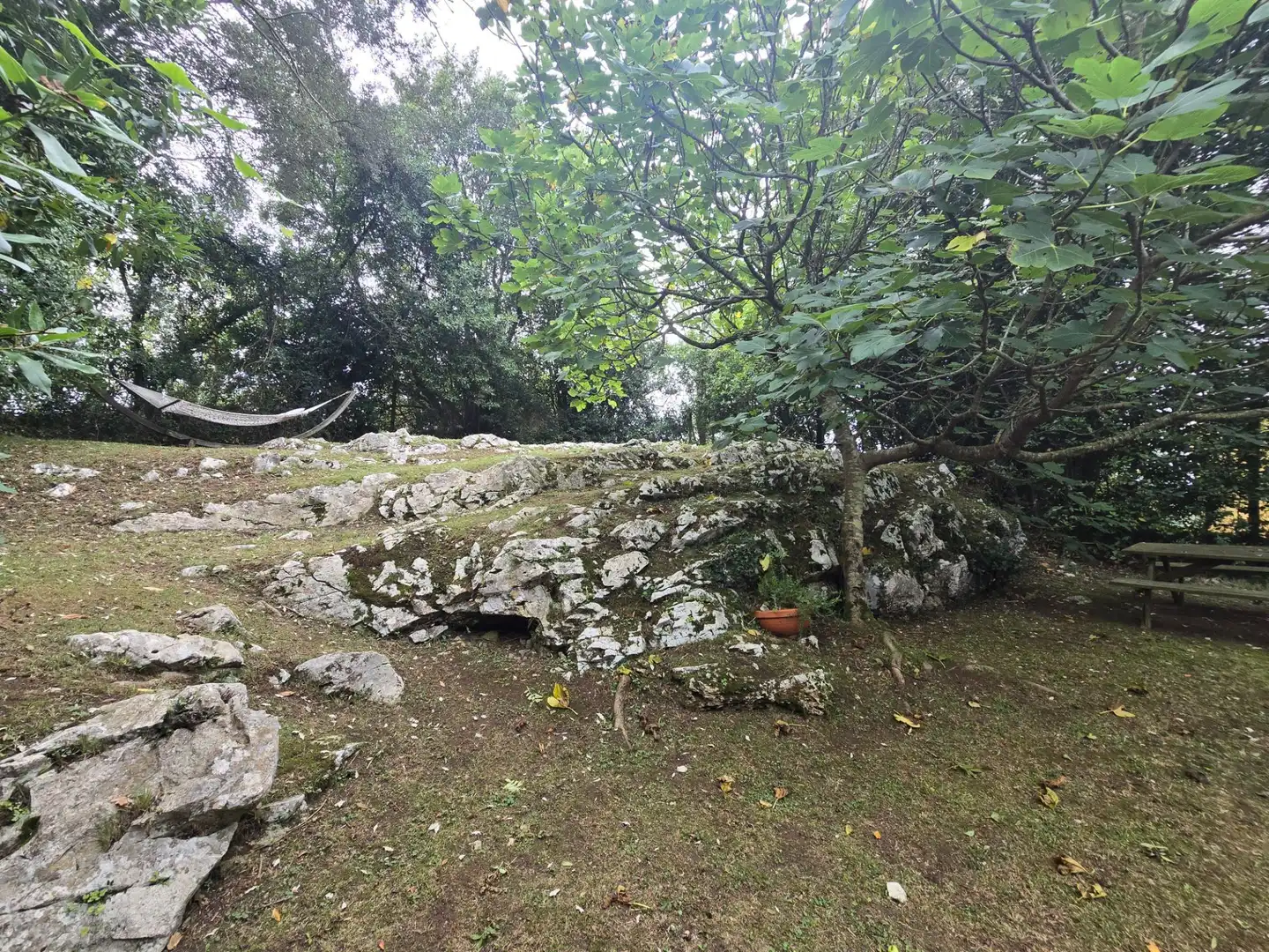 Maison avec jardin à vendre à Posada - Barro, imagen 20