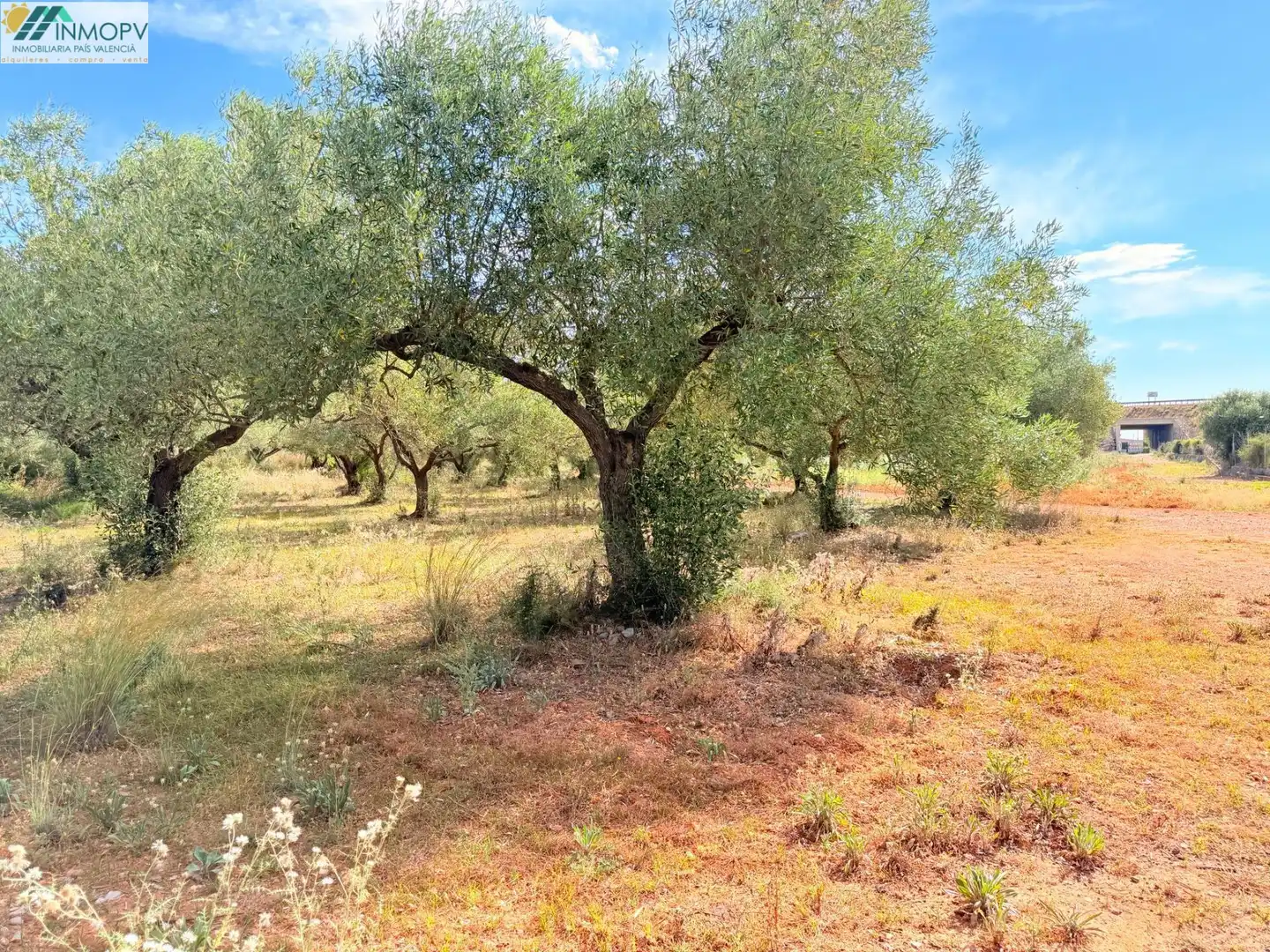 Terreny rústic en venda a Las Atalayas - Urmi - Cerro de Mar, imagen 11