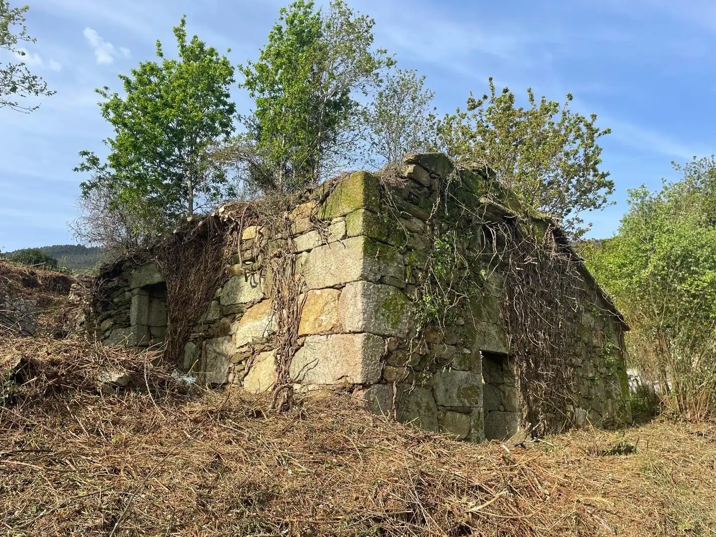 Casa rústica en venda a Vilaboa, imagen 6