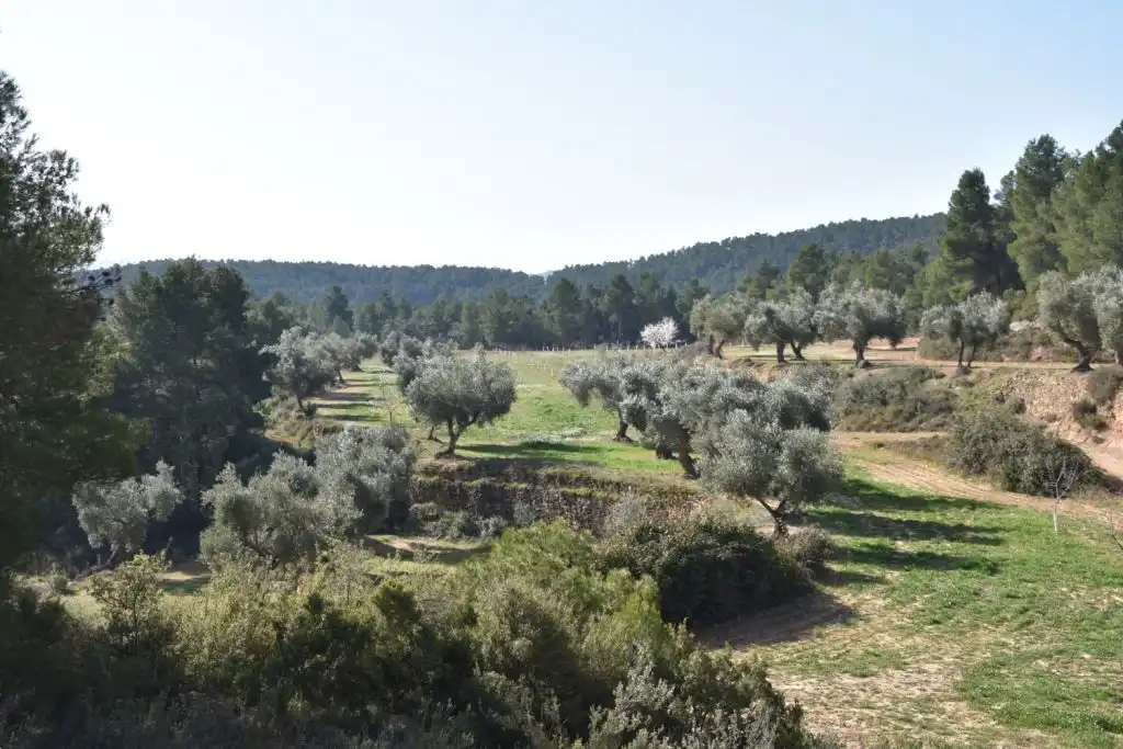 Country homes for sale in La Fresneda