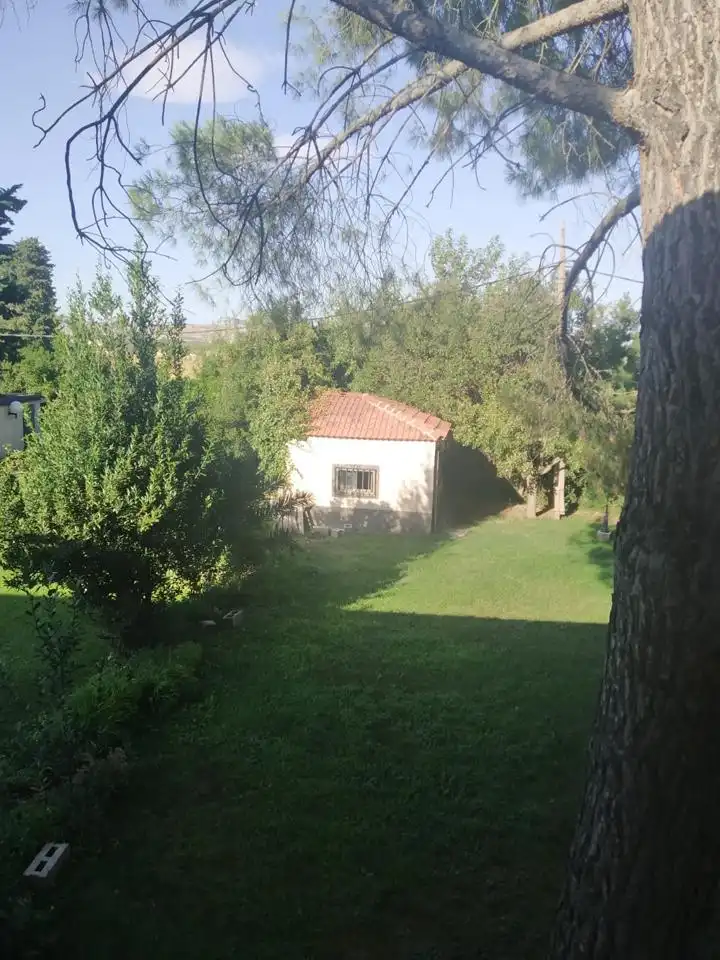 Jardín de Casa o chalet en venta en Zaragoza con Jardín privado