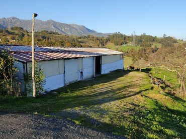 Industriegebäude zum Verkauf in Piloña