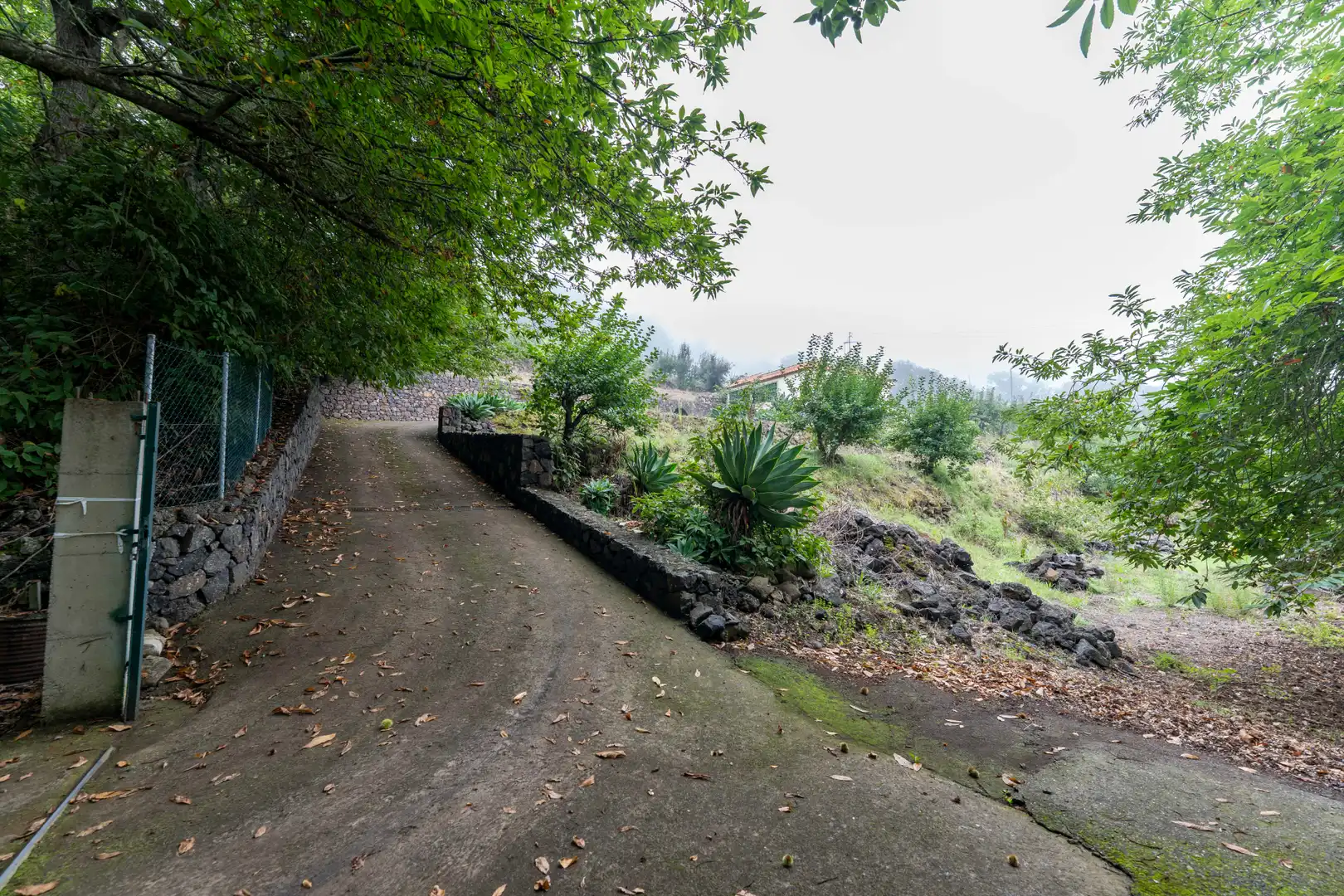 Finca rústica en venta en Calle de El Balayo, La Perdoma - San Antonio - Benijos